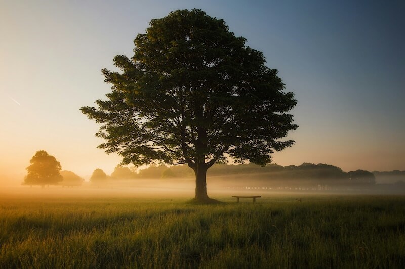 Two Steps To Becoming Wise